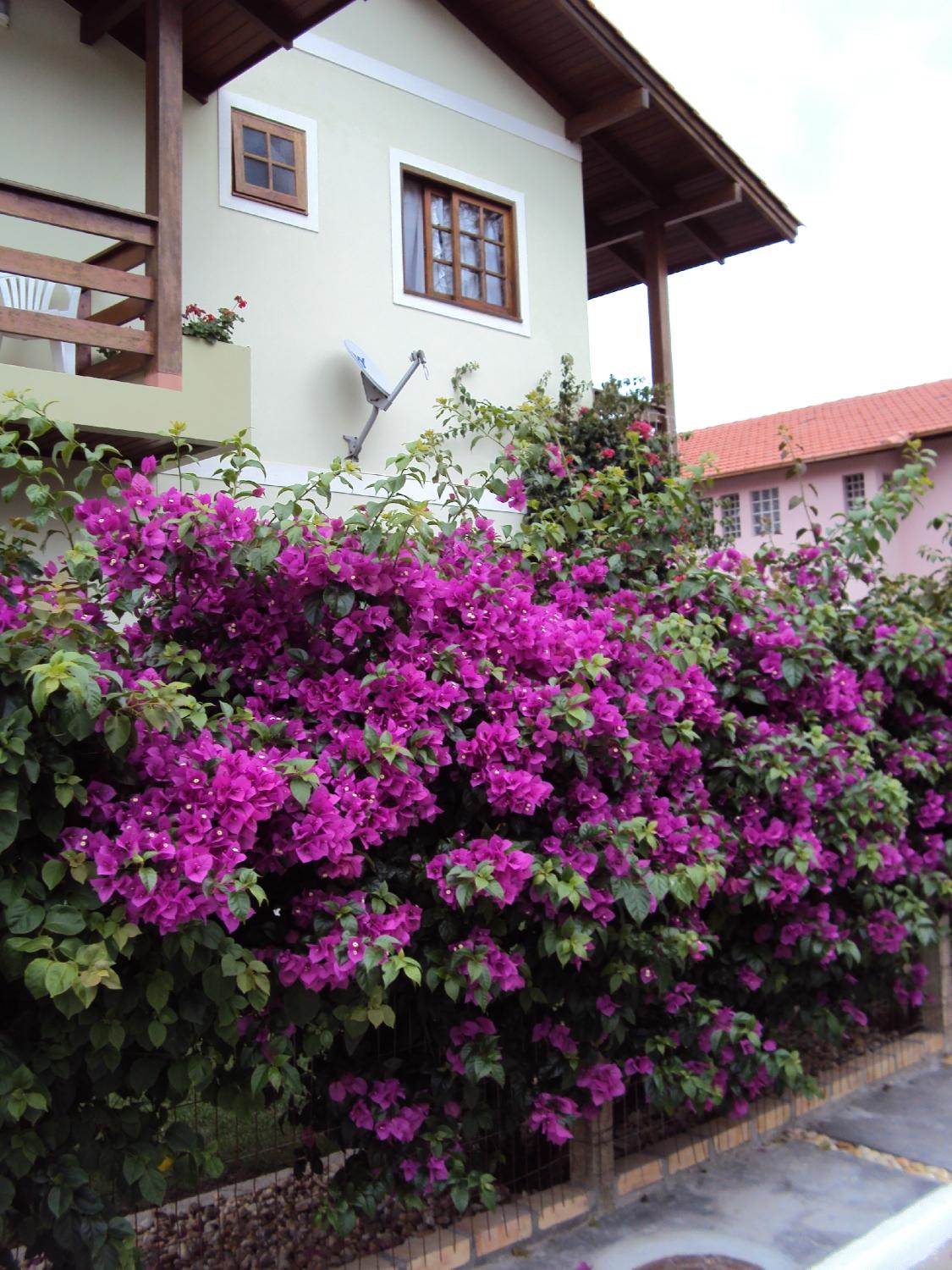 Pousada Maresia - Barra da lagoa - Florianópolis